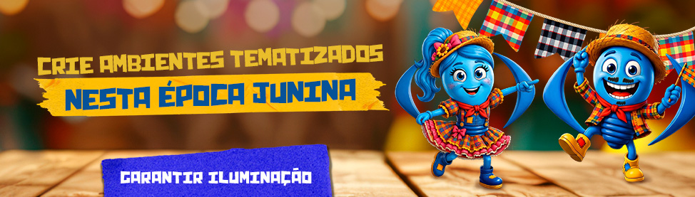 Fullbanner Festa Junina