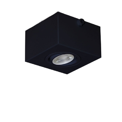 SPOT SOBREPOR PARA FIACAO APARENTE 1E E PARA 1 LAMPADA PAR16 PRETO - GOLI