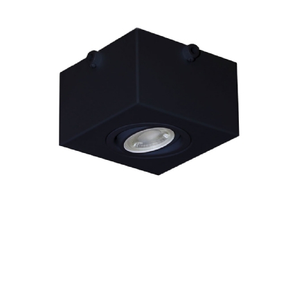 SPOT SOBREPOR PARA FIACAO APARENTE 2E L PARA 1 LAMPADA PAR16 PRETO - GOLI