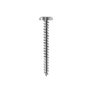 PARAFUSO A/A PHILIPS 3,9X32 COM 20 PECAS - SFORPLAST