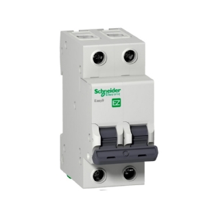 DISJUNTOR DIN BIPOLAR 70A CURVA C - SCHNEIDER ELECTRIC