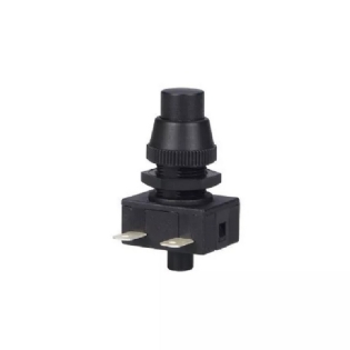 Interruptor Pushbutton 3A - Mar Girius