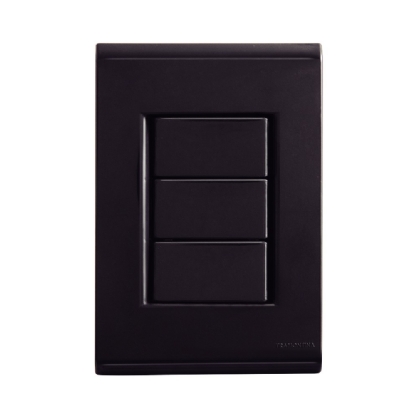 PLACA 4X2 CEGA LIZ GRAFITE - TRAMONTINA