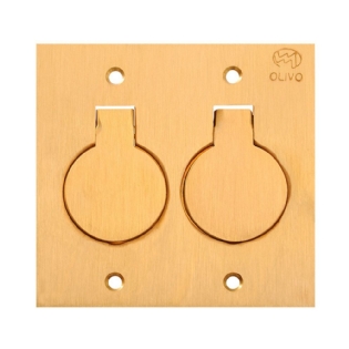 PLACA 4X4 PARA PISO UNHA 2 POSTOS TOMADA UNIVERSAL LATAO - OLIVO