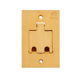 PLACA 4X2 PARA PISO 2 POSTOS RJ LATAO - OLIVO