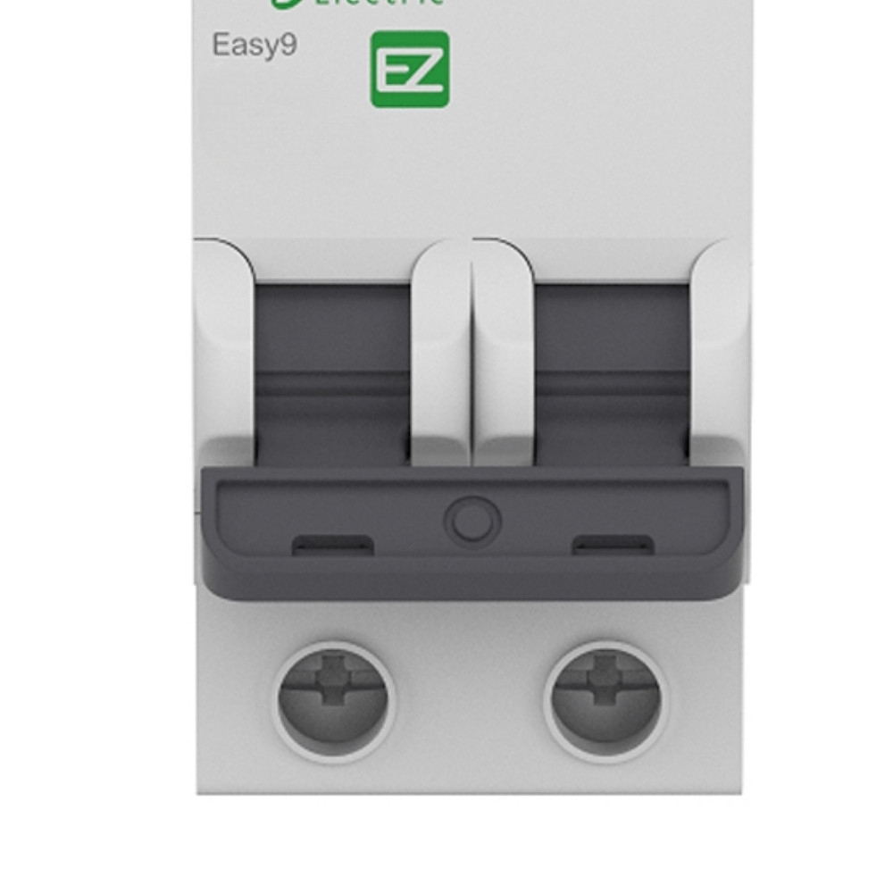 DISJUNTOR DIN BIPOLAR 50A CURVA B - SCHNEIDER ELECTRIC