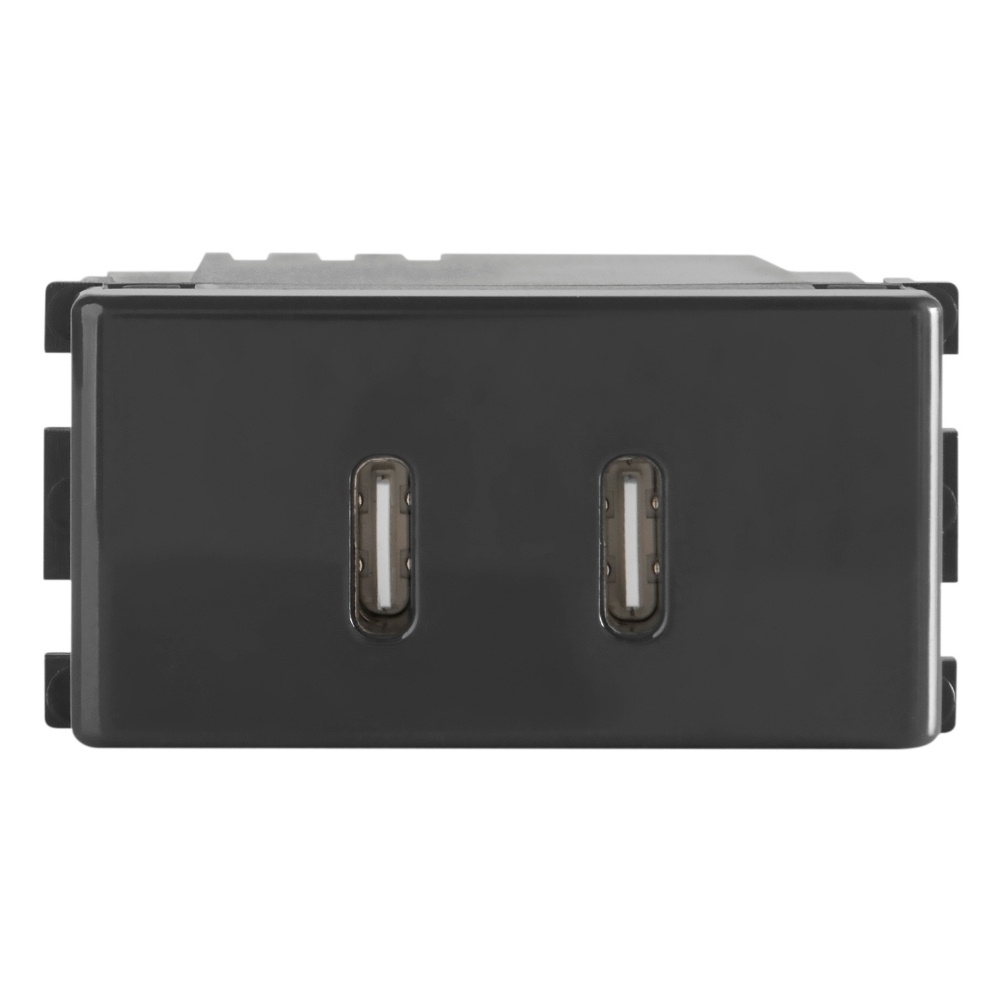MODULO 2 TOMADAS USB-C 2A BIVOLT GRAFITE LIZ - TRAMONTINA