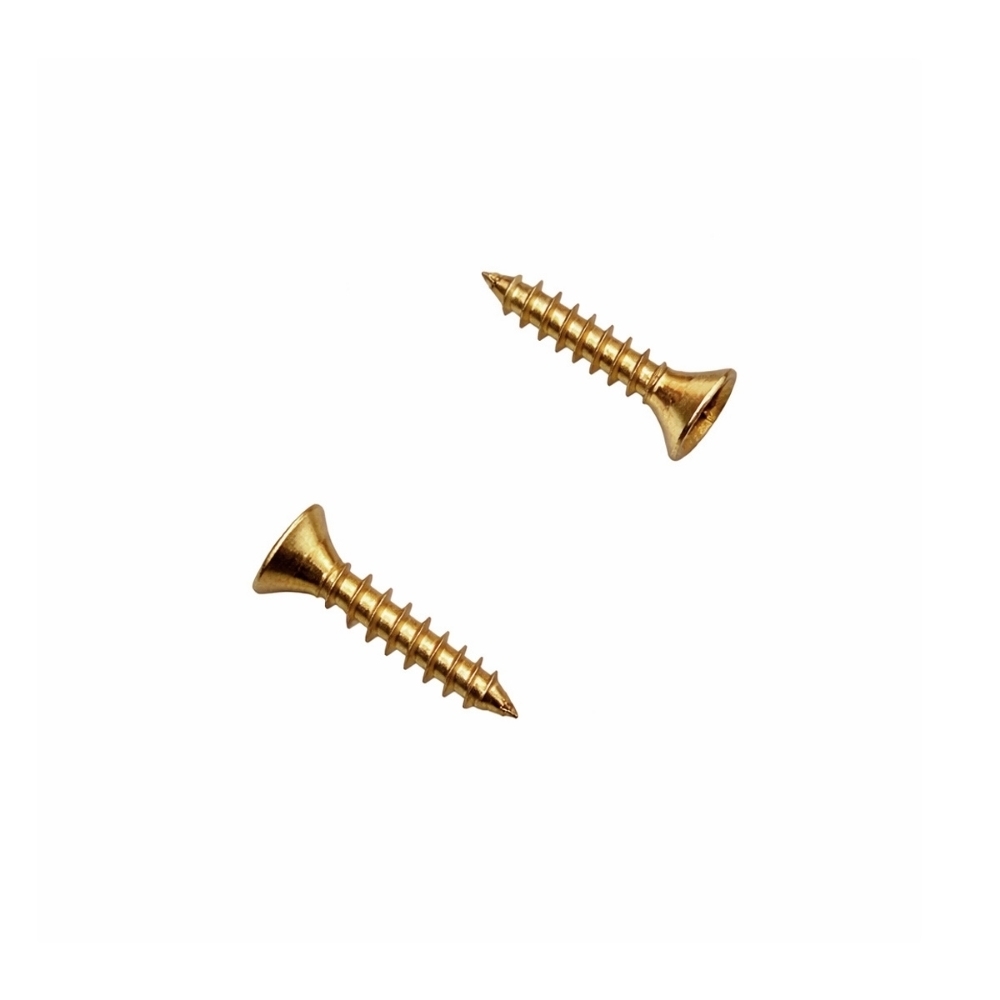 PARAFUSO CHIP PHILIPS 3,0X16 COM 20 PECAS - SFORPLAST