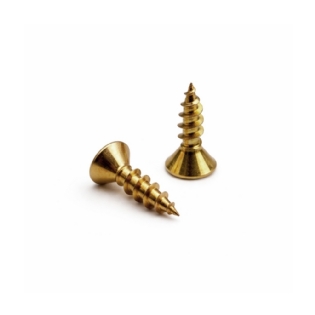 PARAFUSO CHIP PHILIPS 3,0X16 COM 20 PECAS - SFORPLAST