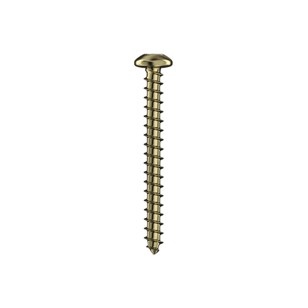 PARAFUSO CHIP PHILIPS 5,0X70 COM 10 PECAS - SFORPLAST
