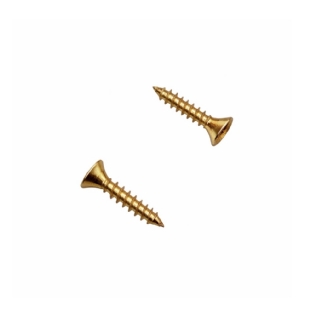 PARAFUSO CHIPBOARD PHILIPS 4,0X25 COM 10 PECAS - SFORPLAST