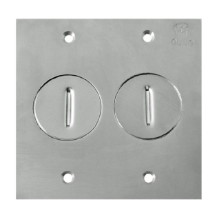 PLACA 4X4 PARA PISO 2 POSTOS TOMADA INOX ROSCA - OLIVO