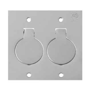 PLACA 4X4 PARA PISO UNHA 2 POSTOS TOMADA UNIVERSAL INOX - OLIVO