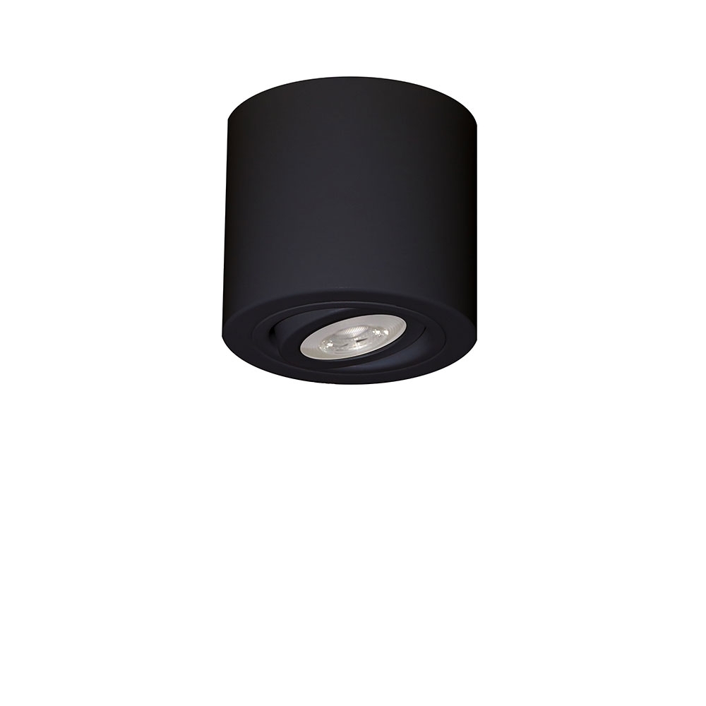 SPOT SOBREPOR PARA 1 LAMPADA PAR20 E27 ALOJ DIRECIONAVEL PRETO - GOLI
