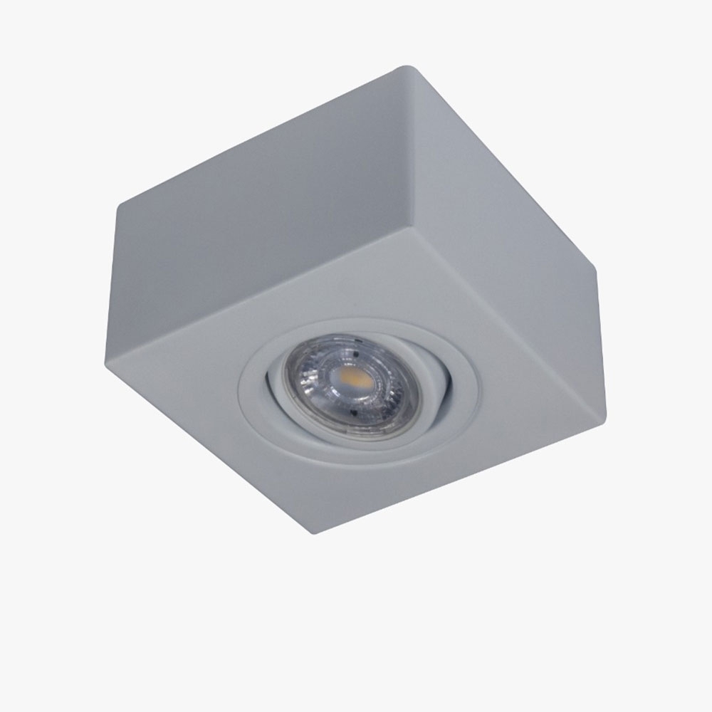 SPOT SOBREPOR PARA 1 LAMPADA PAR30 E27 ALOJ DIRECIONAVEL BRANCO MICRO - GOLI