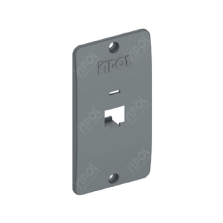 TAMPA PARA CONDULETE PVC 1 POLEGADA COM 1 FURO RJ45 CINZA - INPOL